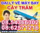 vemaybaycaytram